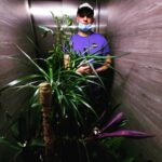 transport-przeprowadzki-wywoz-mebli-gorzow